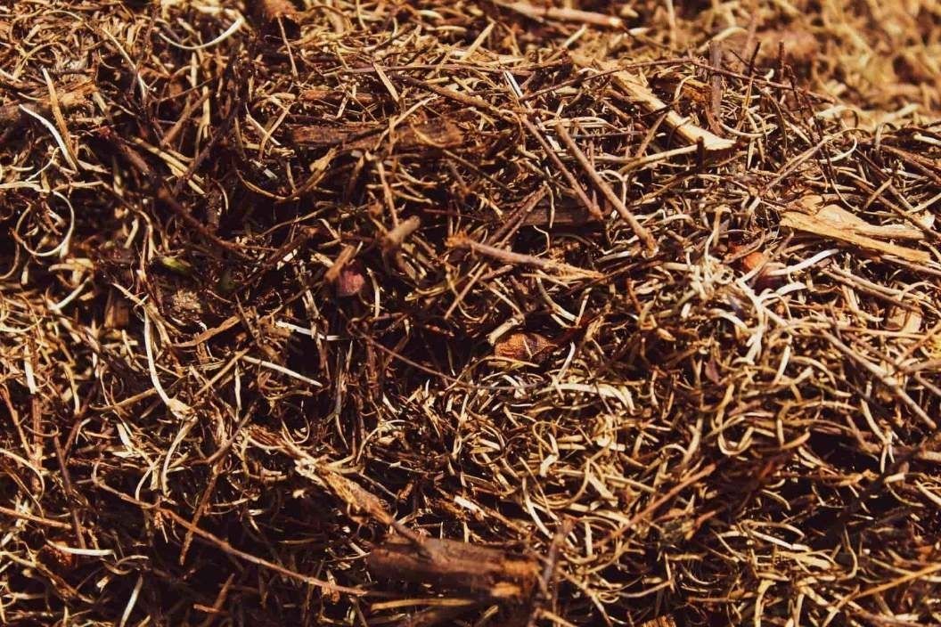 Close-up of Brown Mulch With Various Sized — Blue Dog Earthmoving Landscape Supplies in Valla Beach, NSW