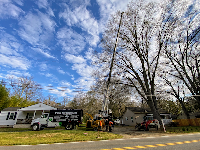 Tree removal crew using a crane to remove a tall tree near houses on a sunny day.