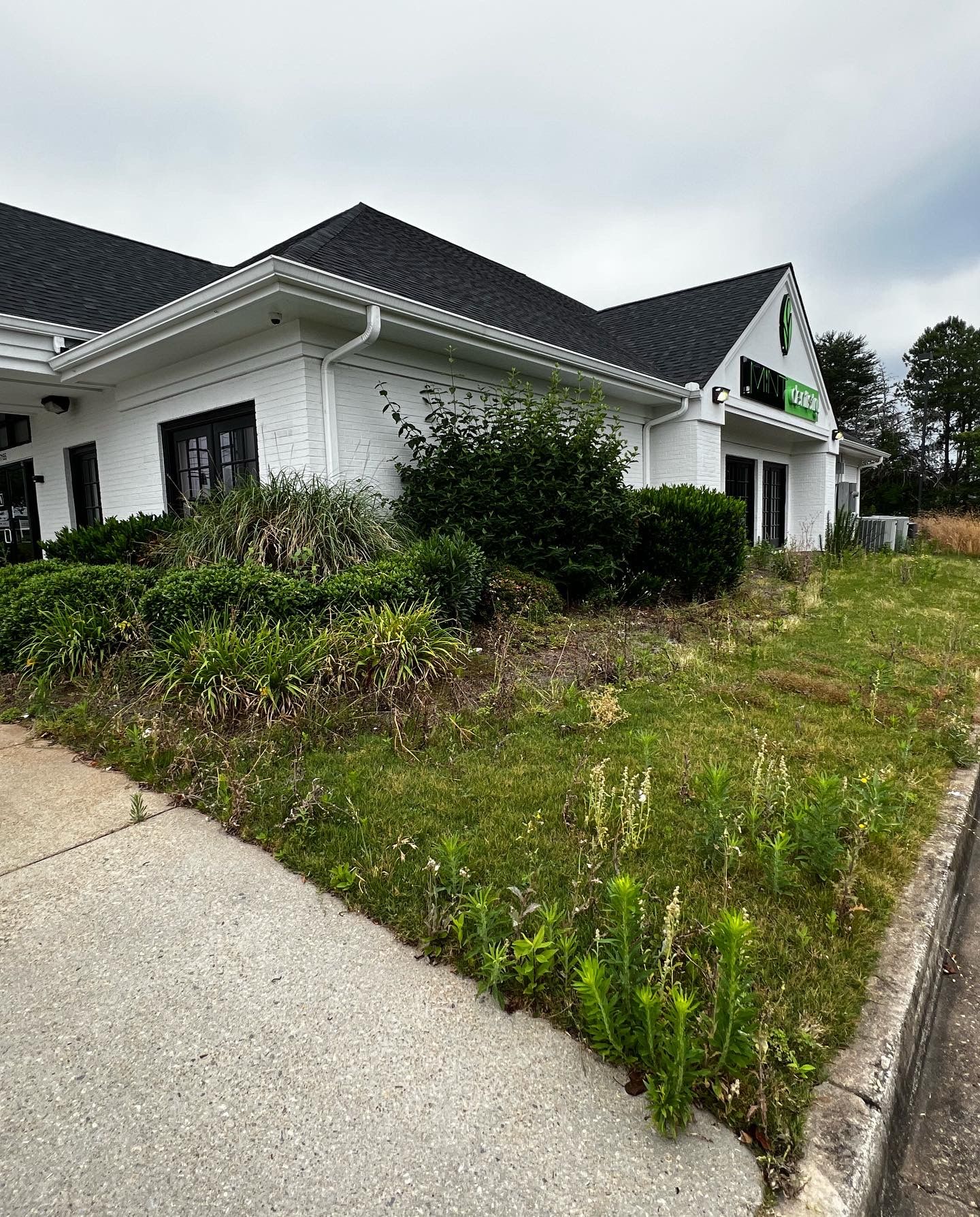White building with black roof, overgrown landscaping, and cracked sidewalk.