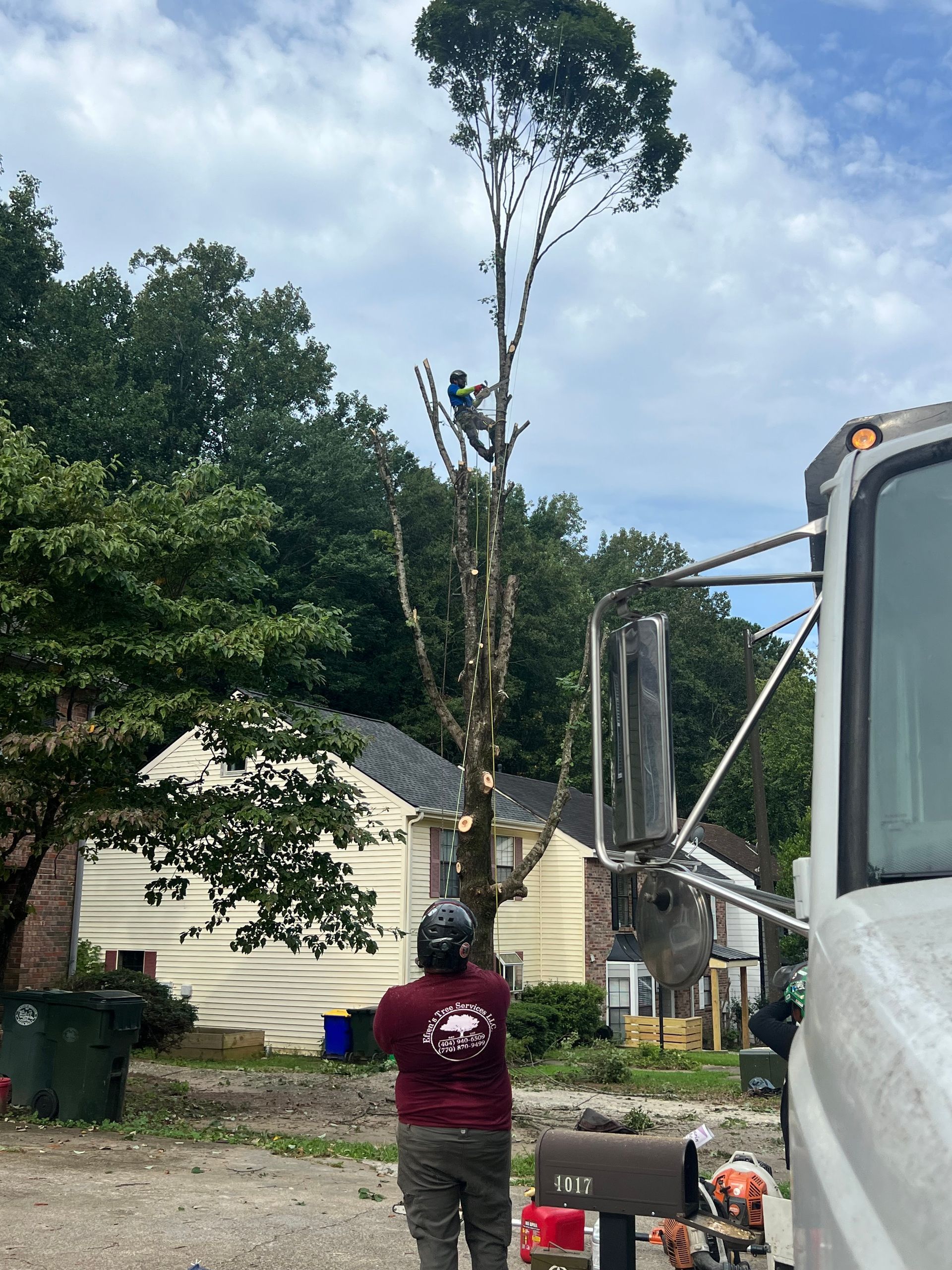 Arborist trimming tall tree with truck in front of houses on a partly cloudy day.
