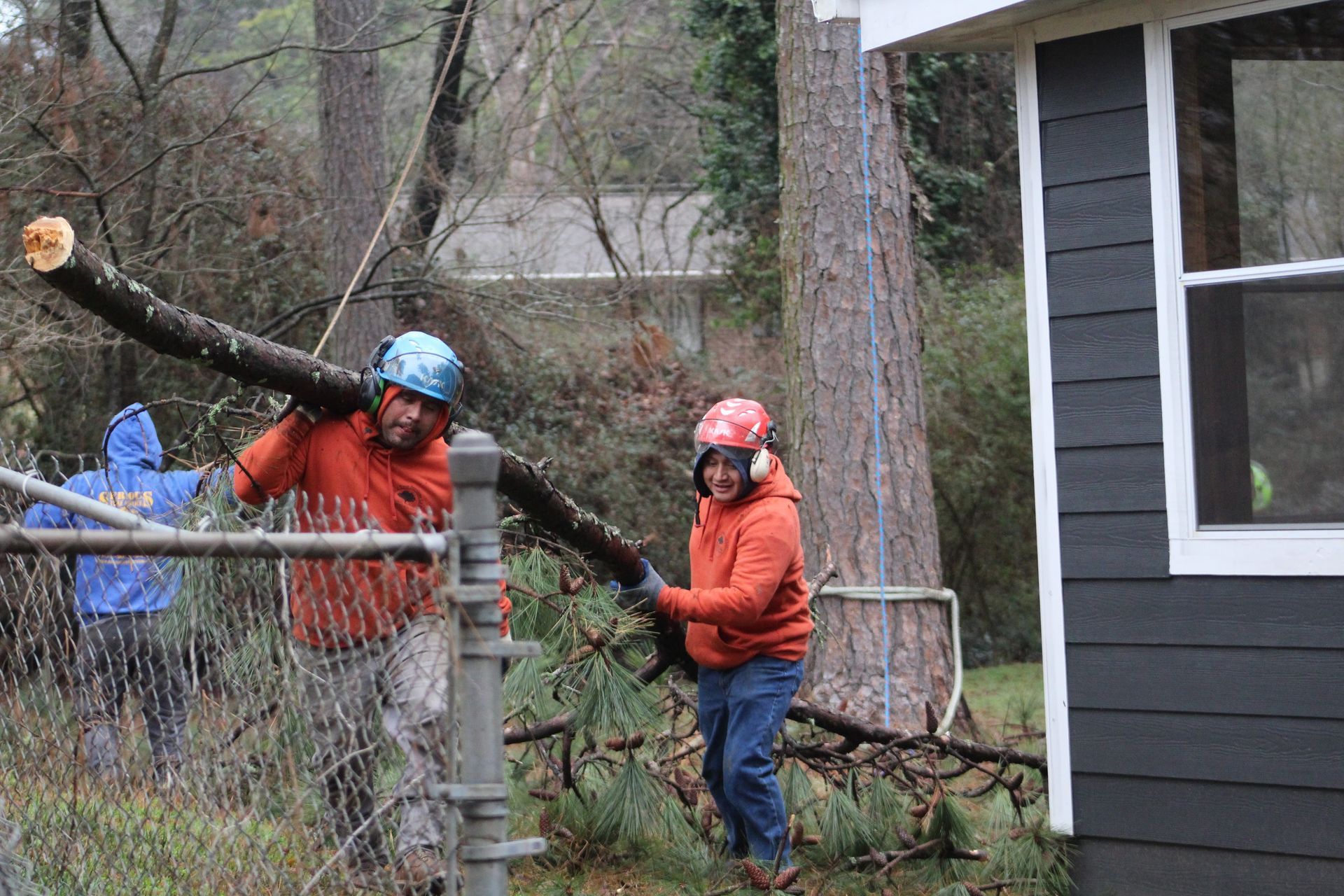 Two people in orange shirts and helmets carrying a large log, near a fence and a house.