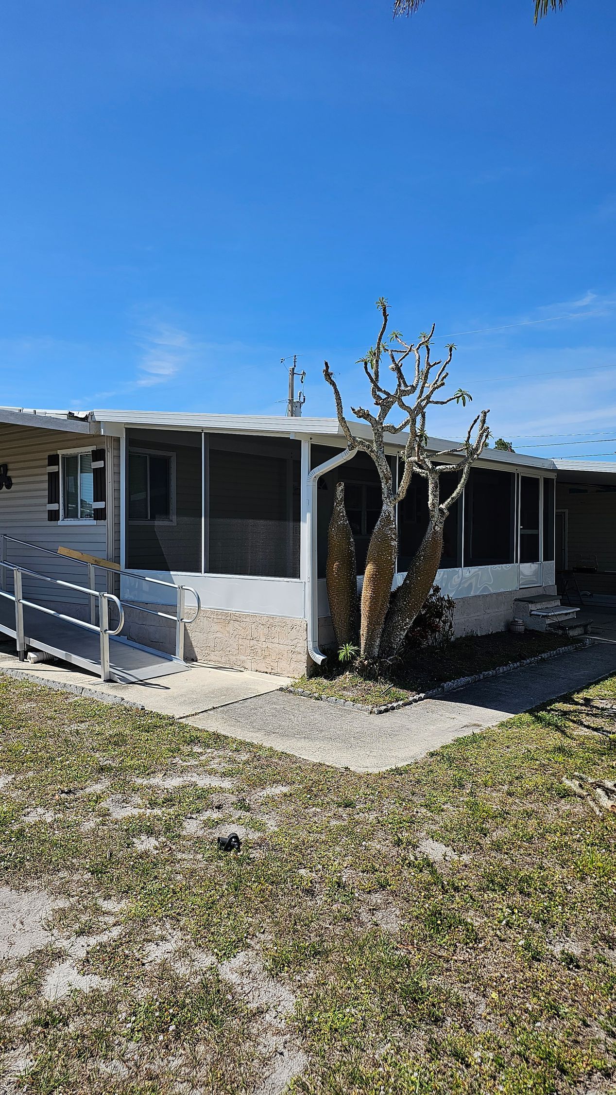 A mobile home with a tree in front of it on a sunny day.