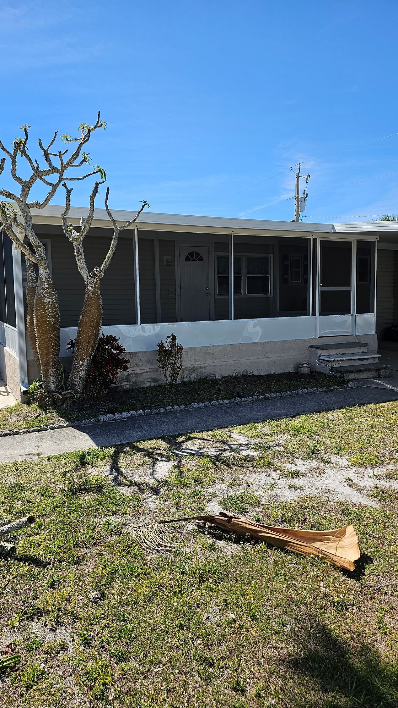 A mobile home with a porch and a tree in front of it.