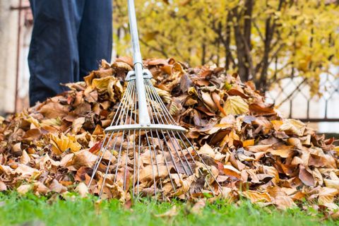 A picture of a person raking leaves into a pile.