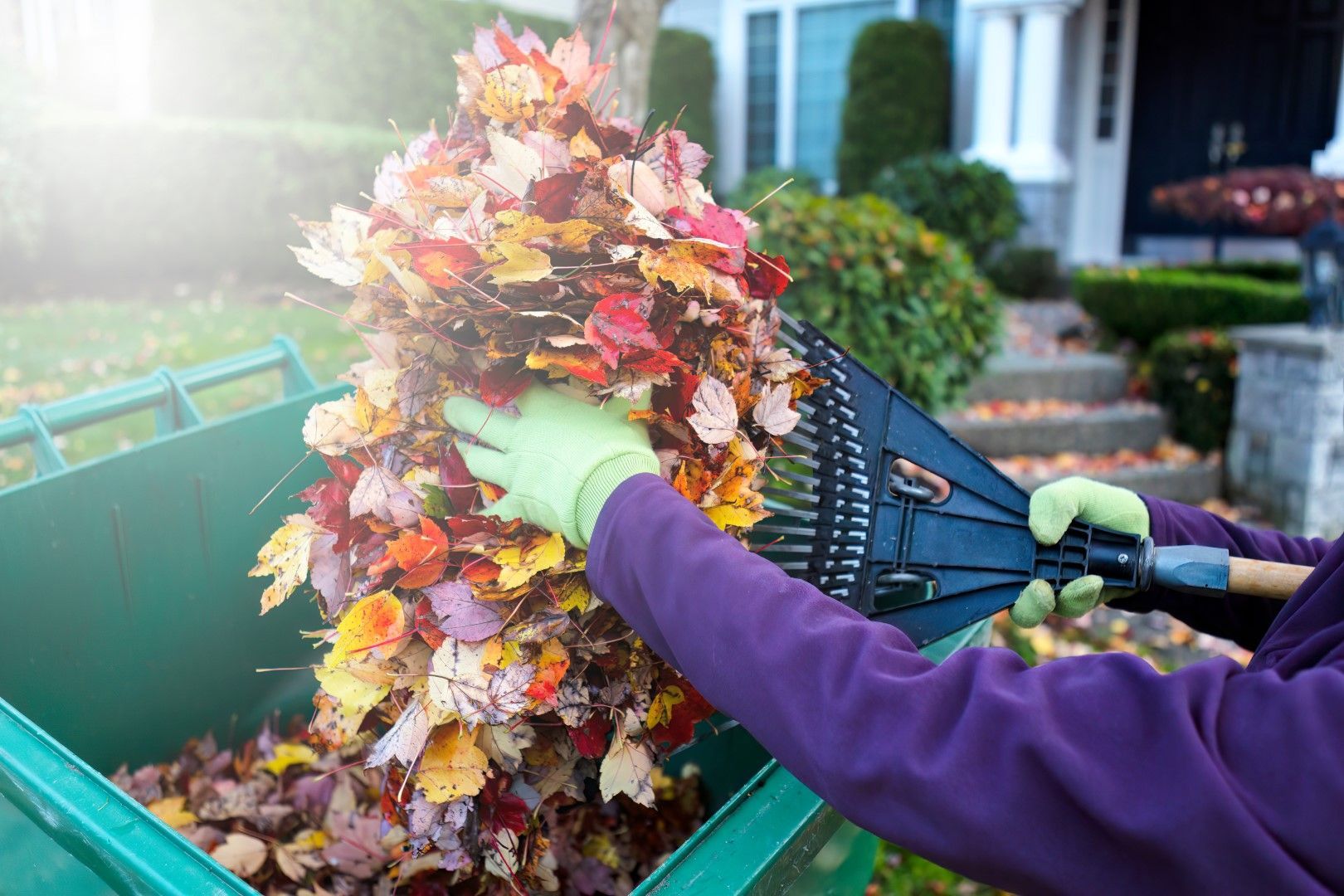 A picture of a person using a leaf blower to clean fall leaves from a lawn.