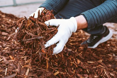 A picture of mulch being spread on a garden bed.