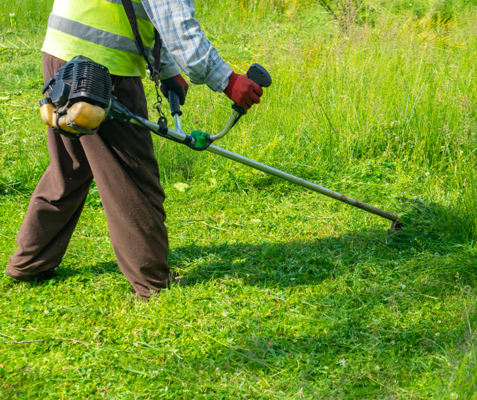 A picture of a person using a string trimmer on overgrown grass
