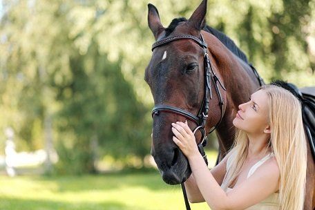 Horse cremation options including collection, cremation and equine dispatch