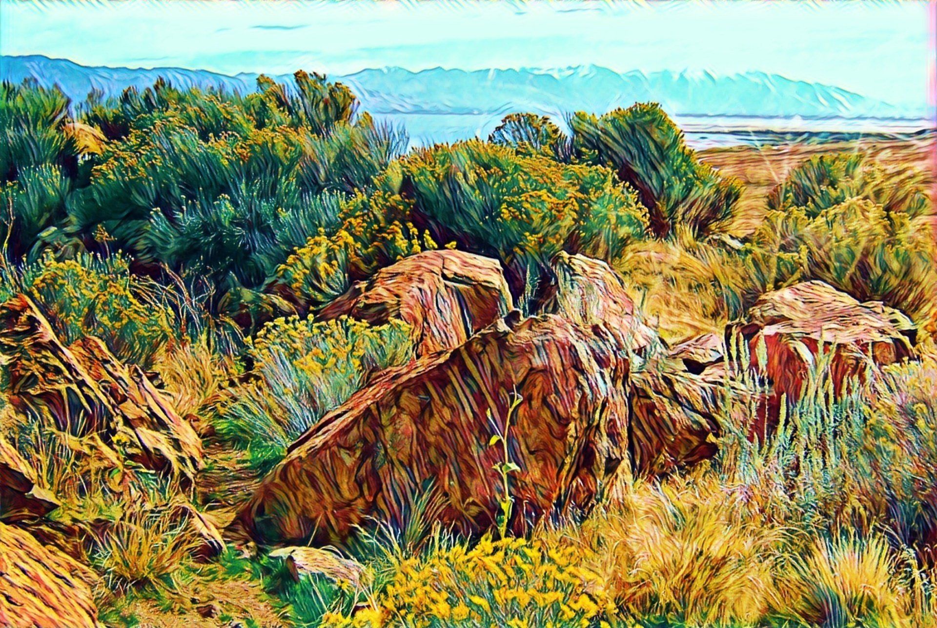 desert scene with rocks and bushes