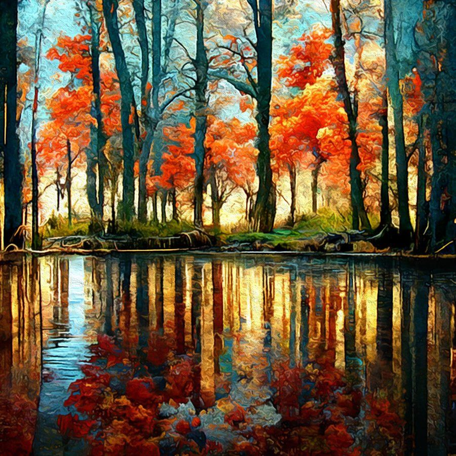 woods with autumn trees and a pond
