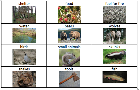 A three-by-four picture board with images of shelter, food, fuel for fire, water, bears, wolves, birds, small animals, skunks, snakes, tools, and fish. 