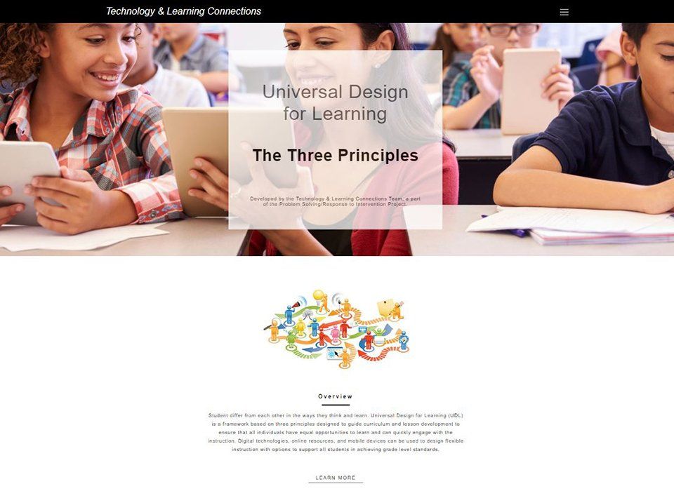 screenshot of UDL module: The Three Principles