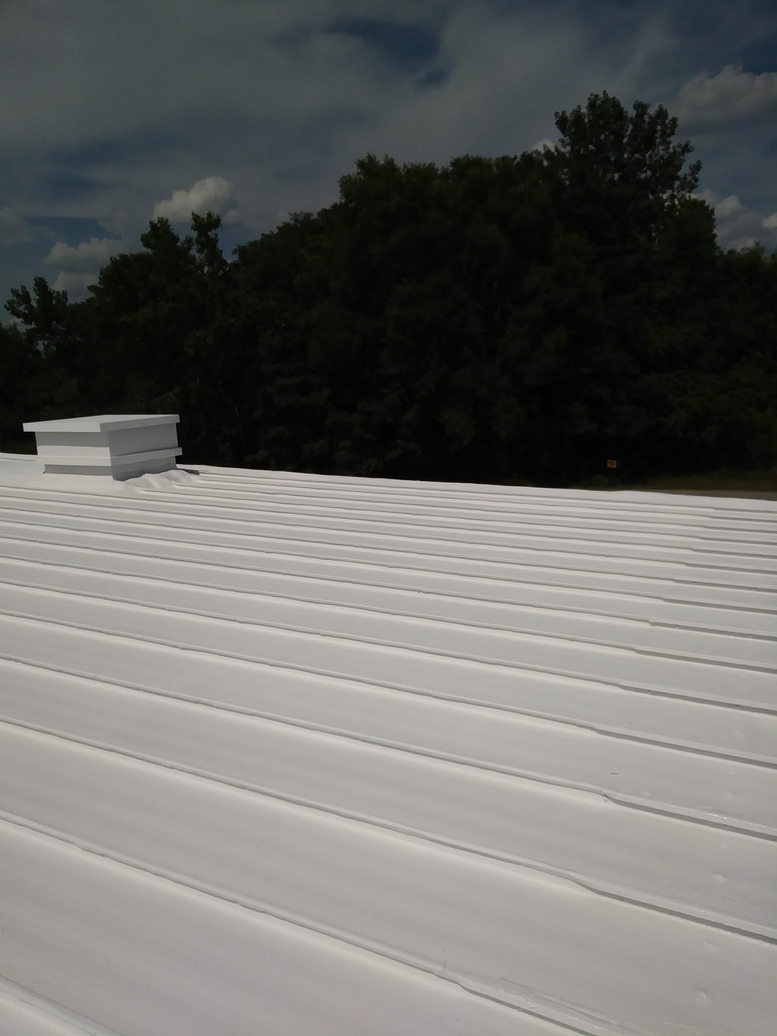 A white roof with trees in the background on a cloudy day
