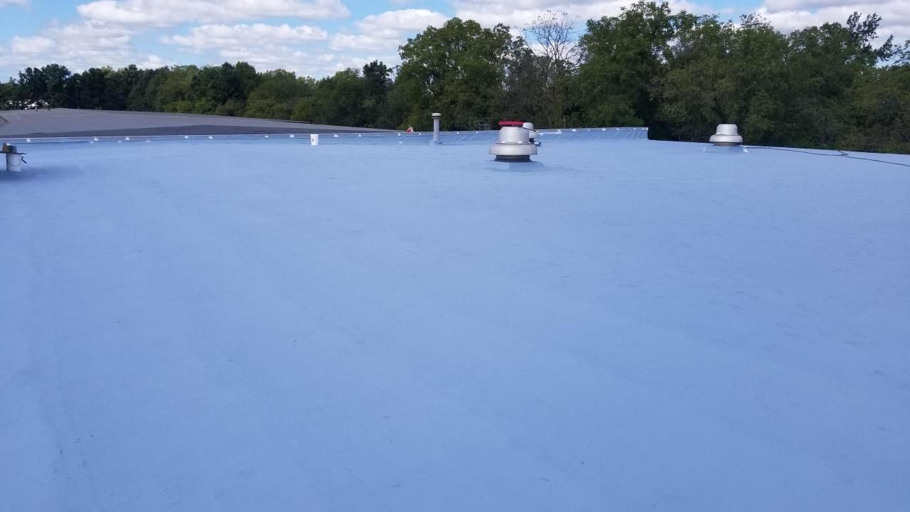 A blue roof with trees in the background on a sunny day.