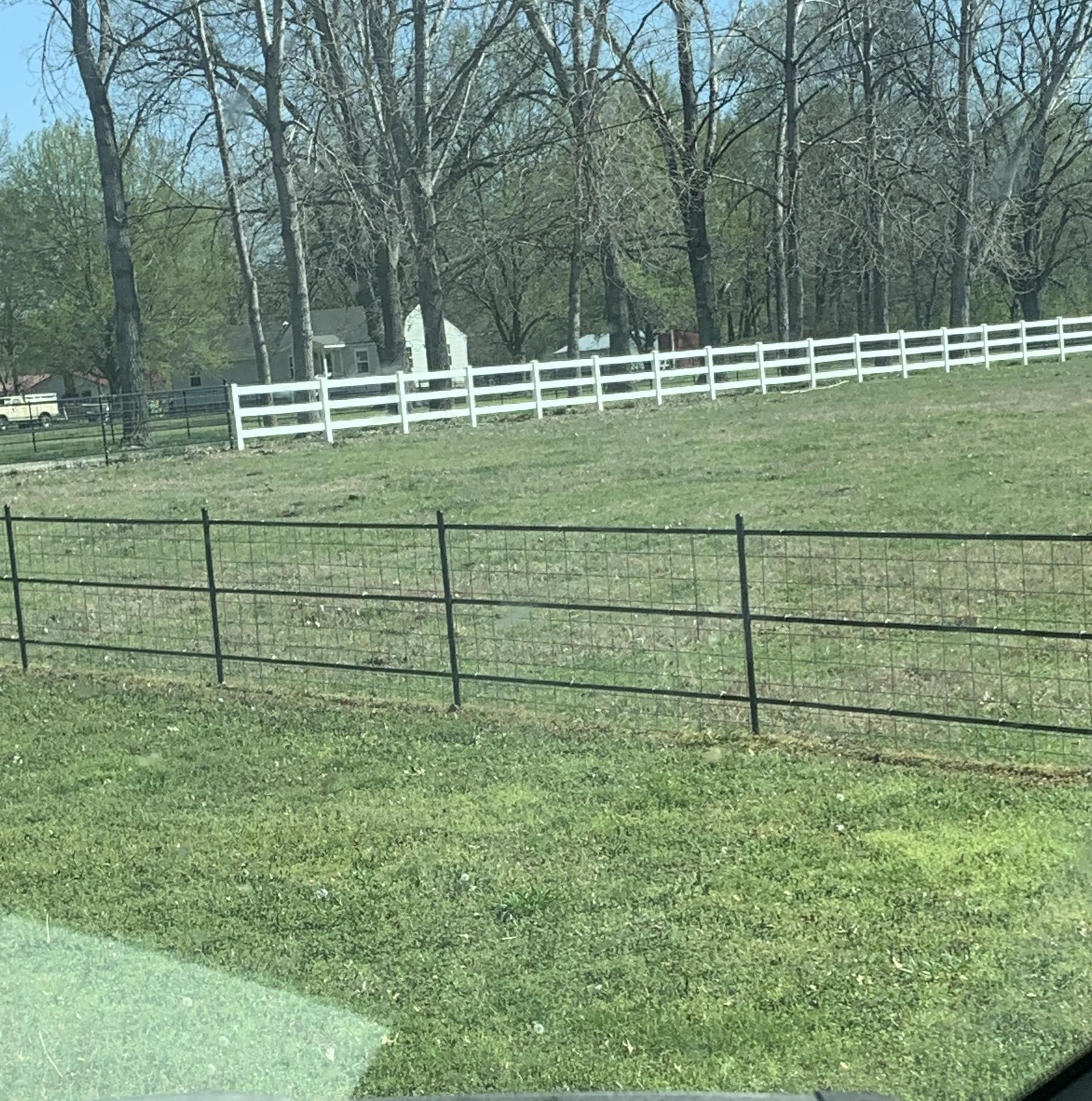 A white fence surrounds a grassy field with trees in the background.