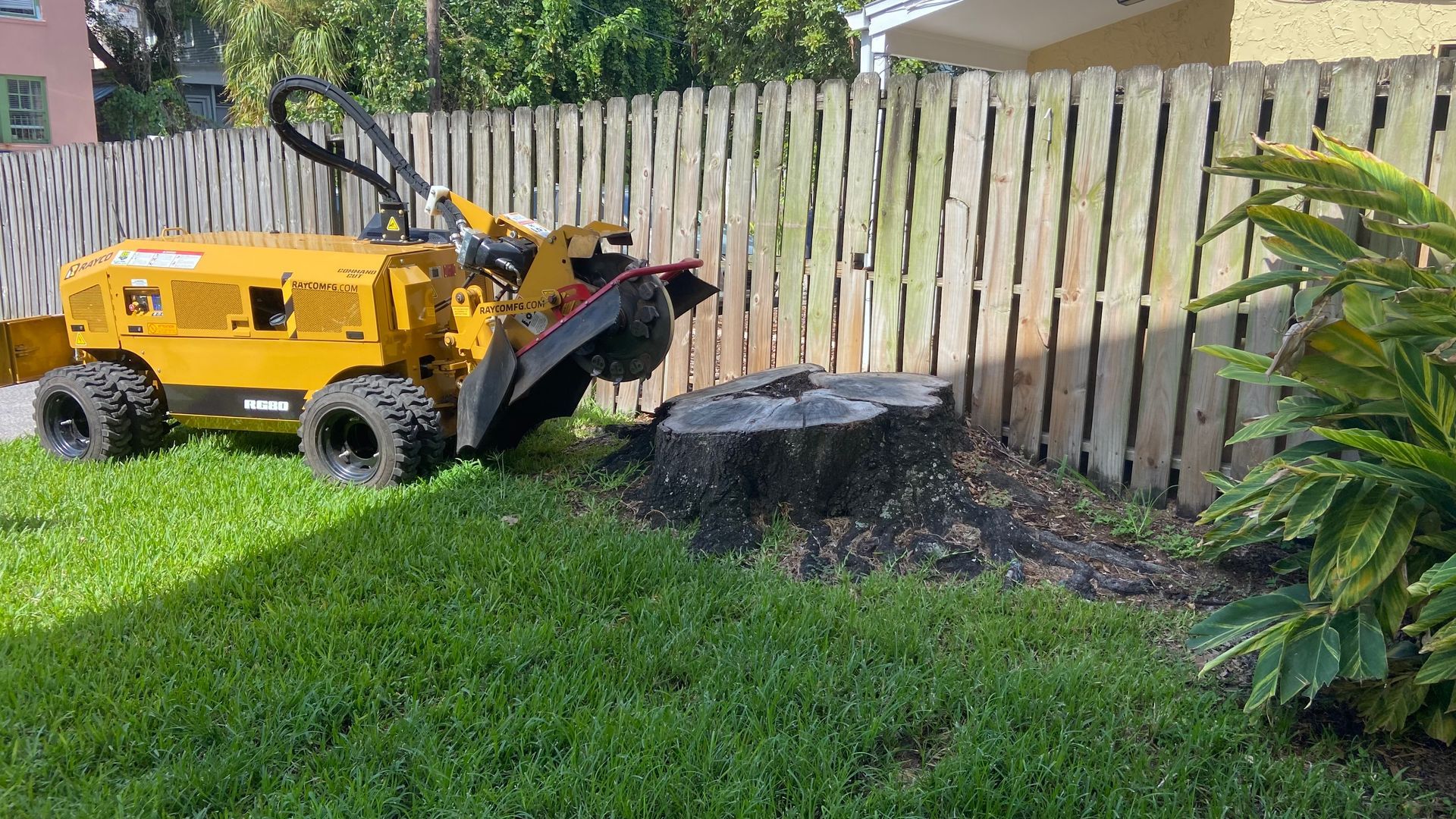 A stump grinder is sitting next to a large tree stump in a yard.