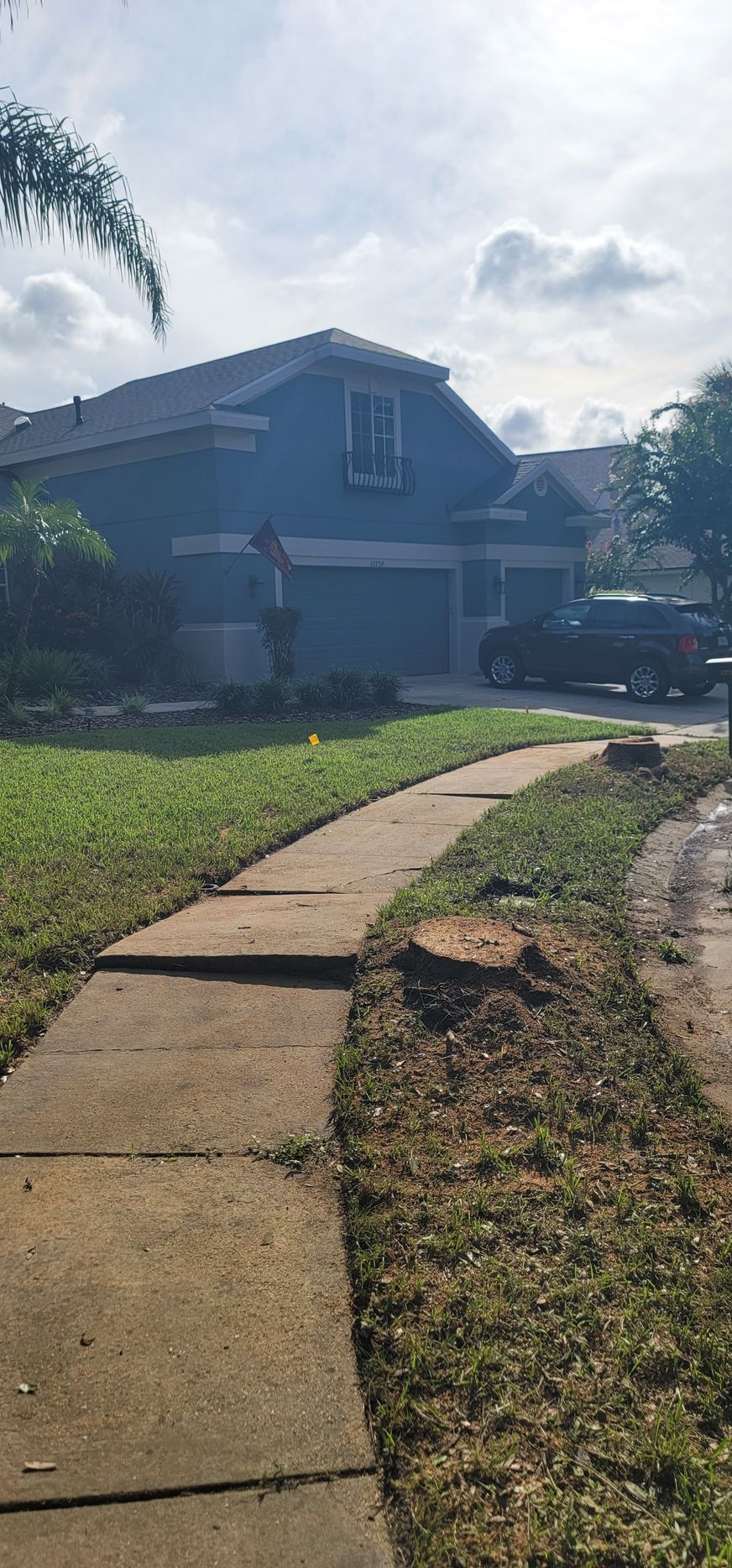 A sidewalk leading to a blue house with a stump in the grass.