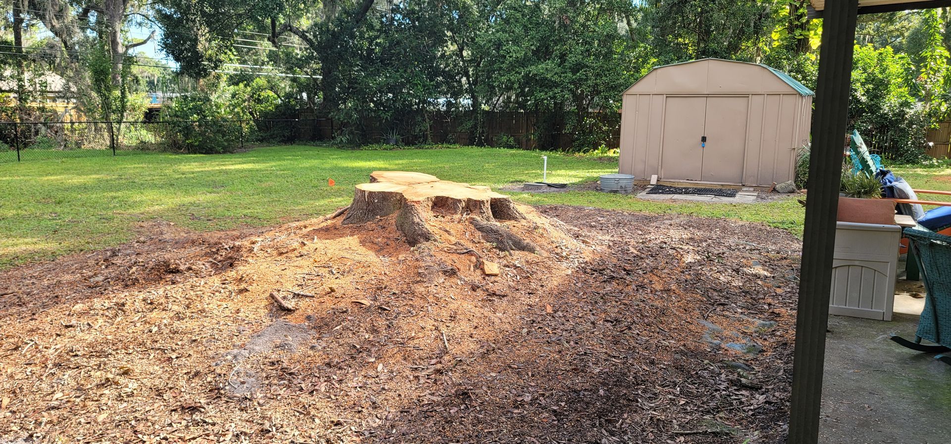 A pile of wood chips in a yard next to a shed.