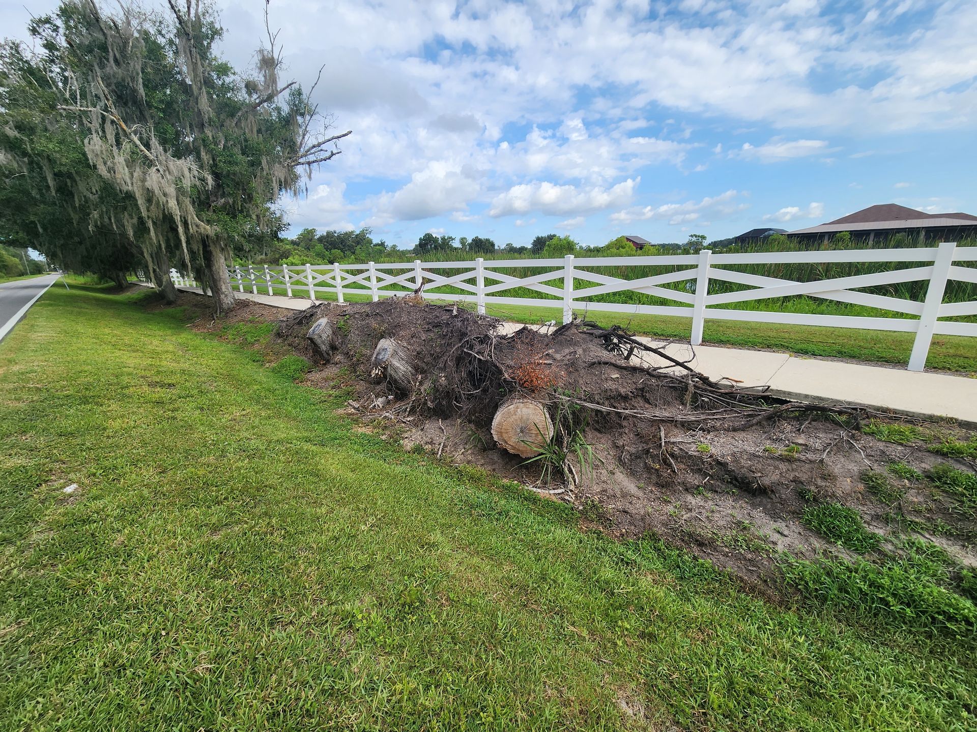 A large log is laying on the side of the road next to a white fence.