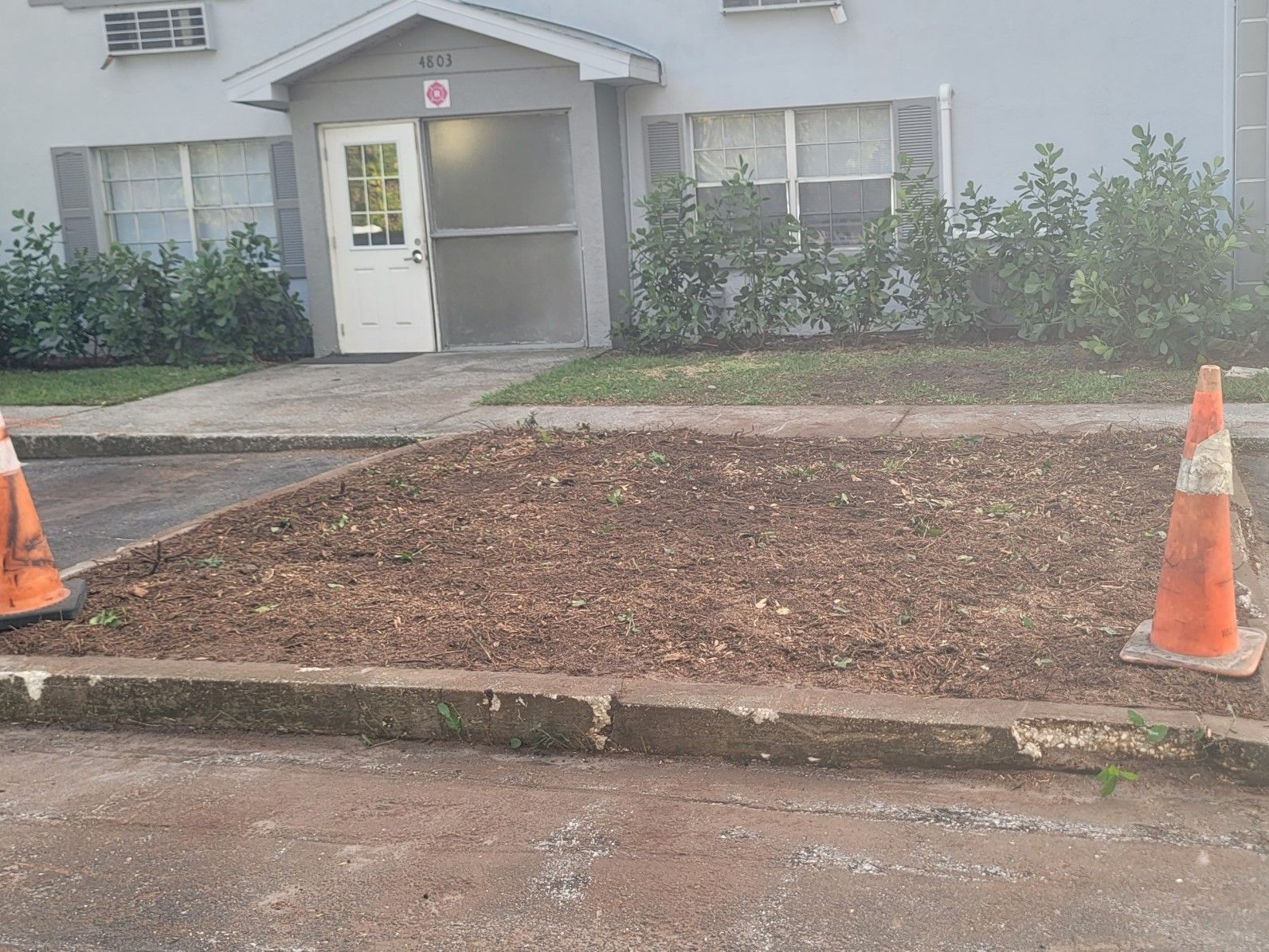 A couple of traffic cones are sitting in front of a building with a stump grinding patch.