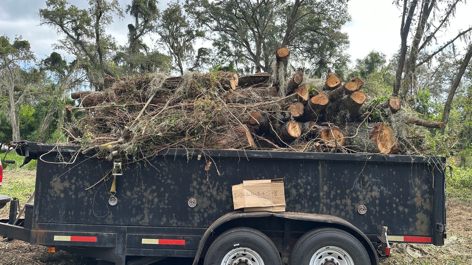 A trailer filled with logs is parked in a field.