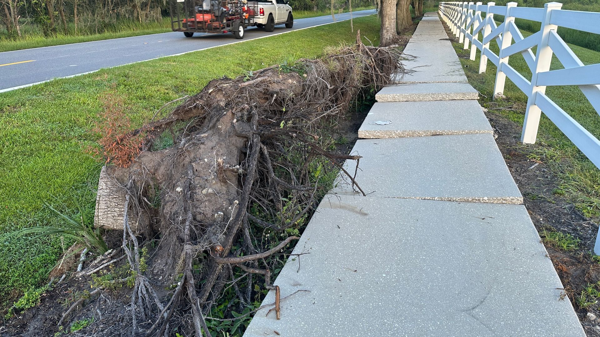 A tree has fallen on a sidewalk next to a road.