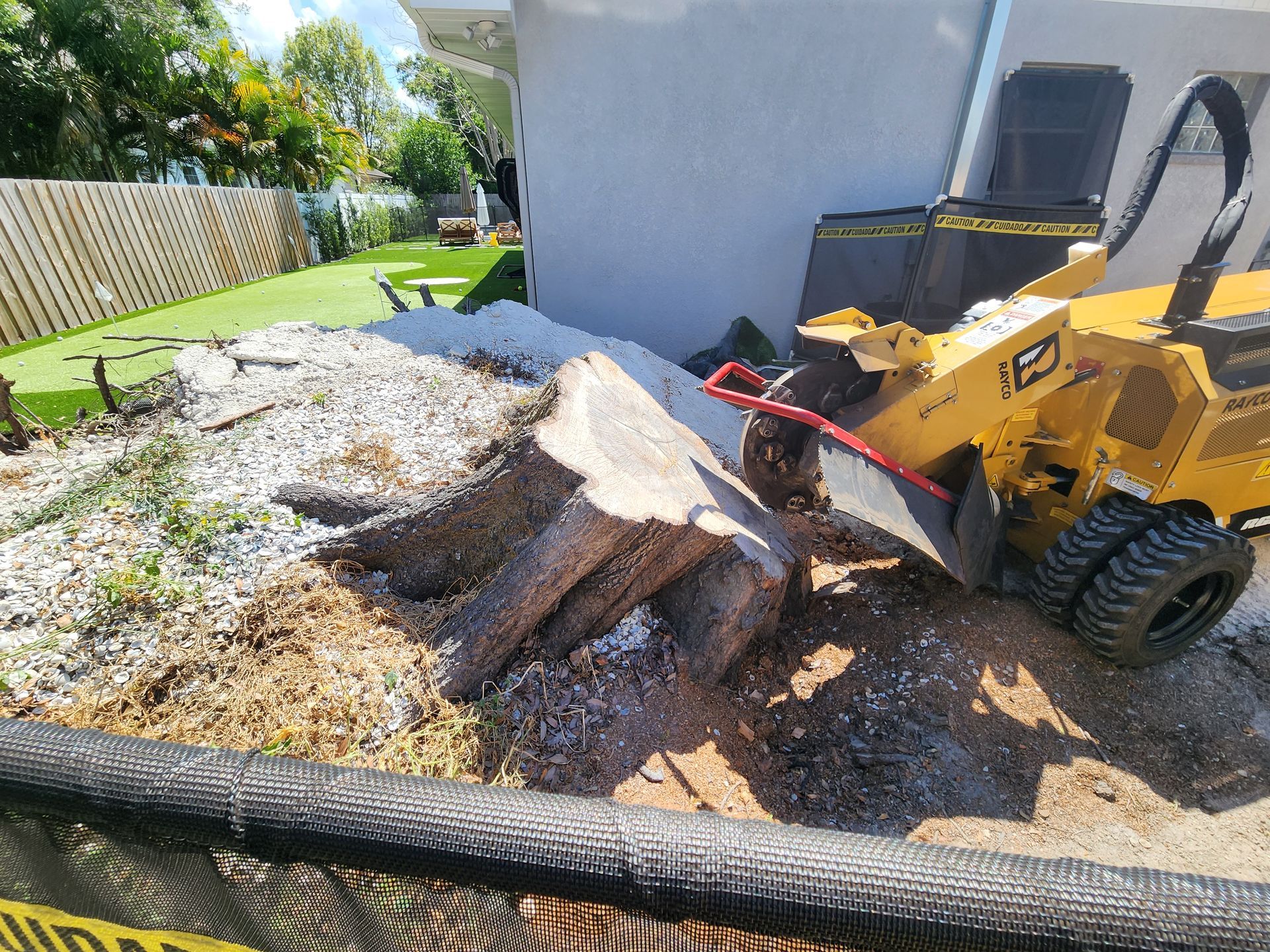 A yellow stump grinder is cutting a tree stump in front of a house.