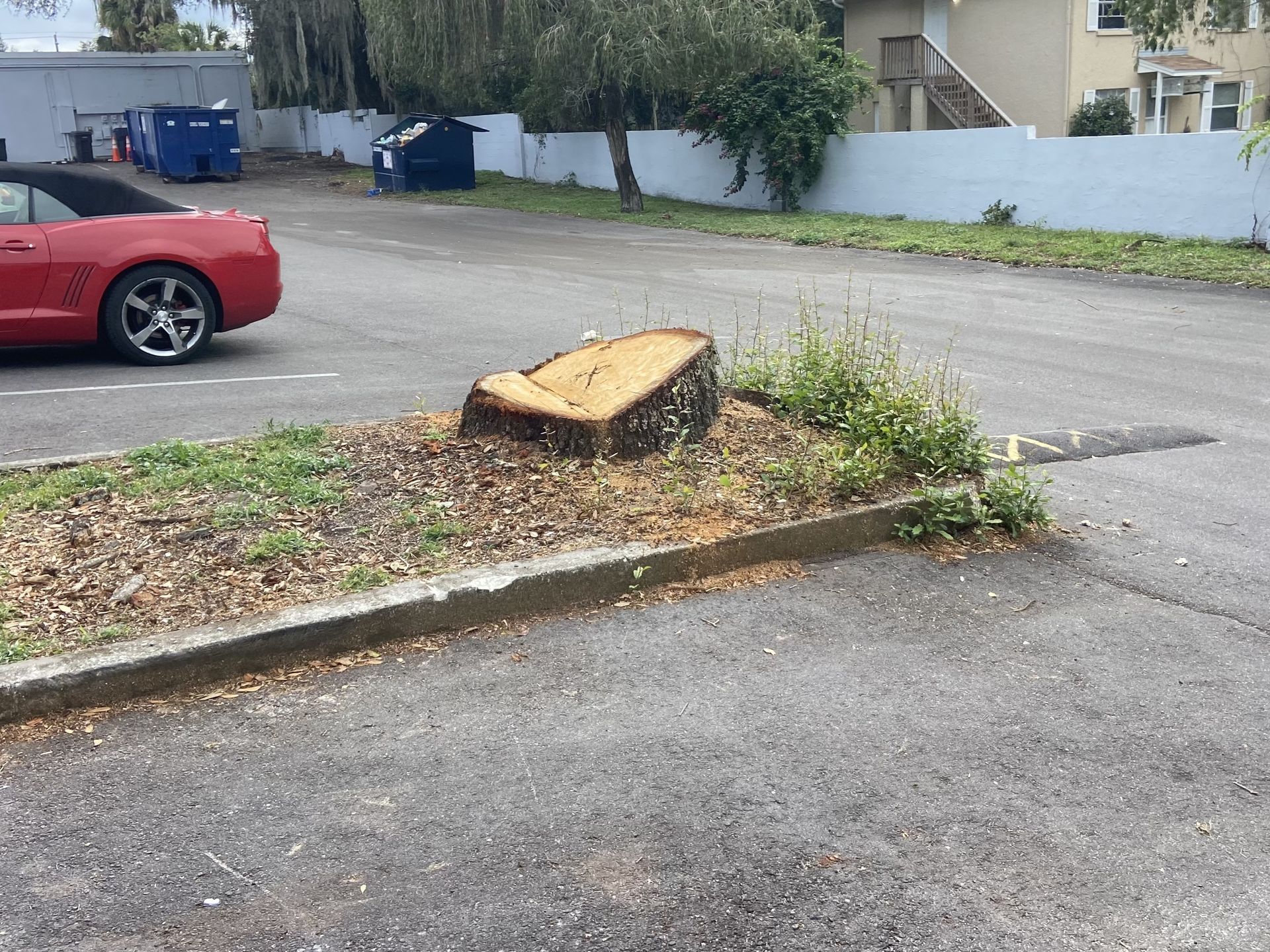 A red car is parked in a parking lot next to a tree stump.