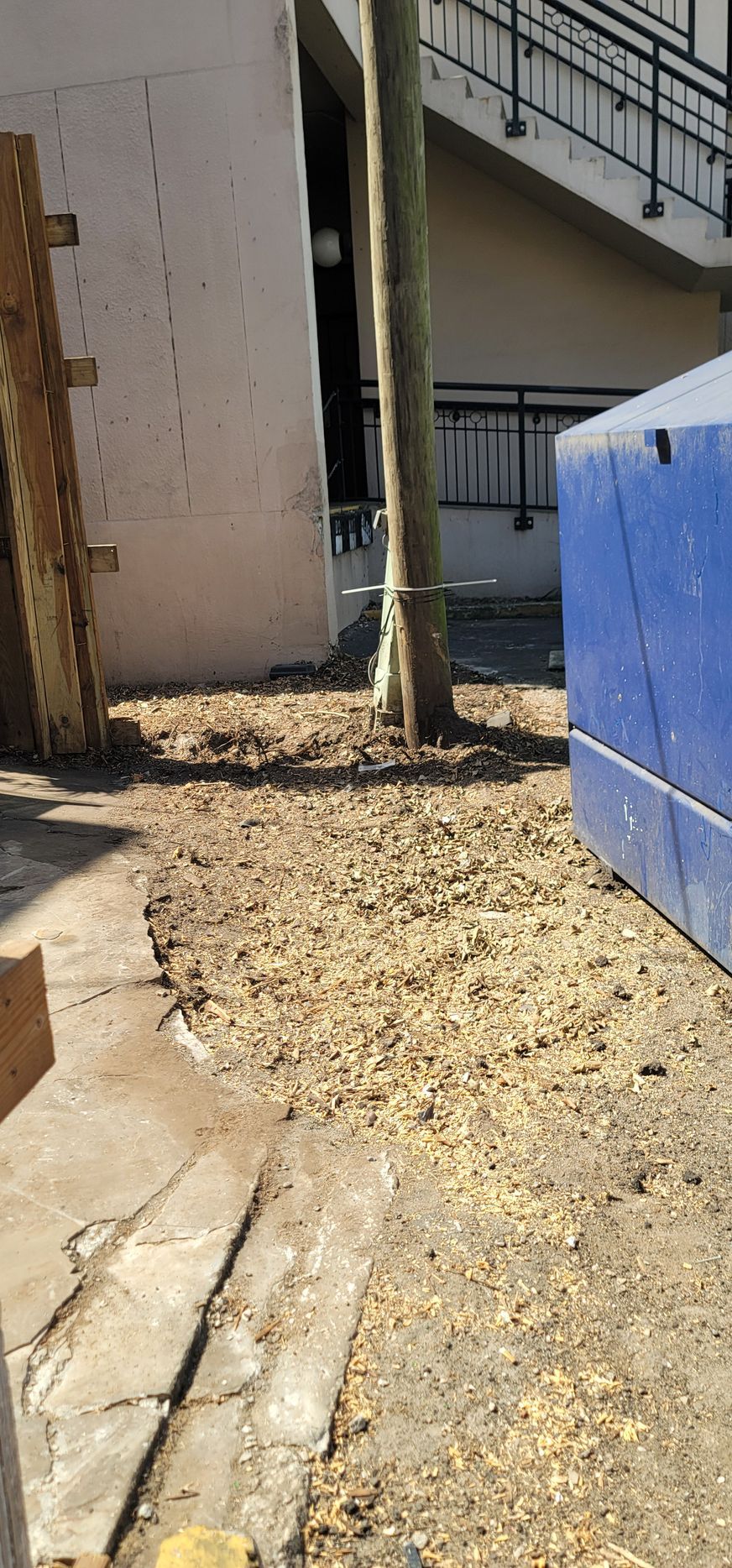 A blue container is sitting on the ground next to a tree.