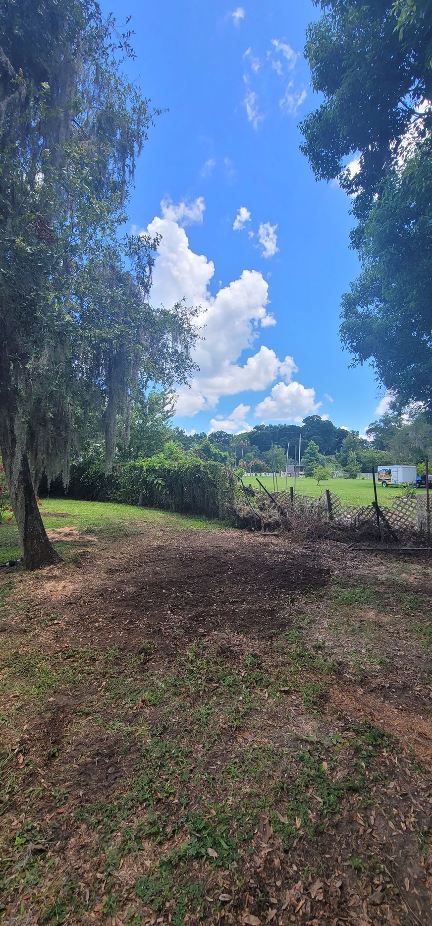 A field with trees and a blue sky with clouds in the background.