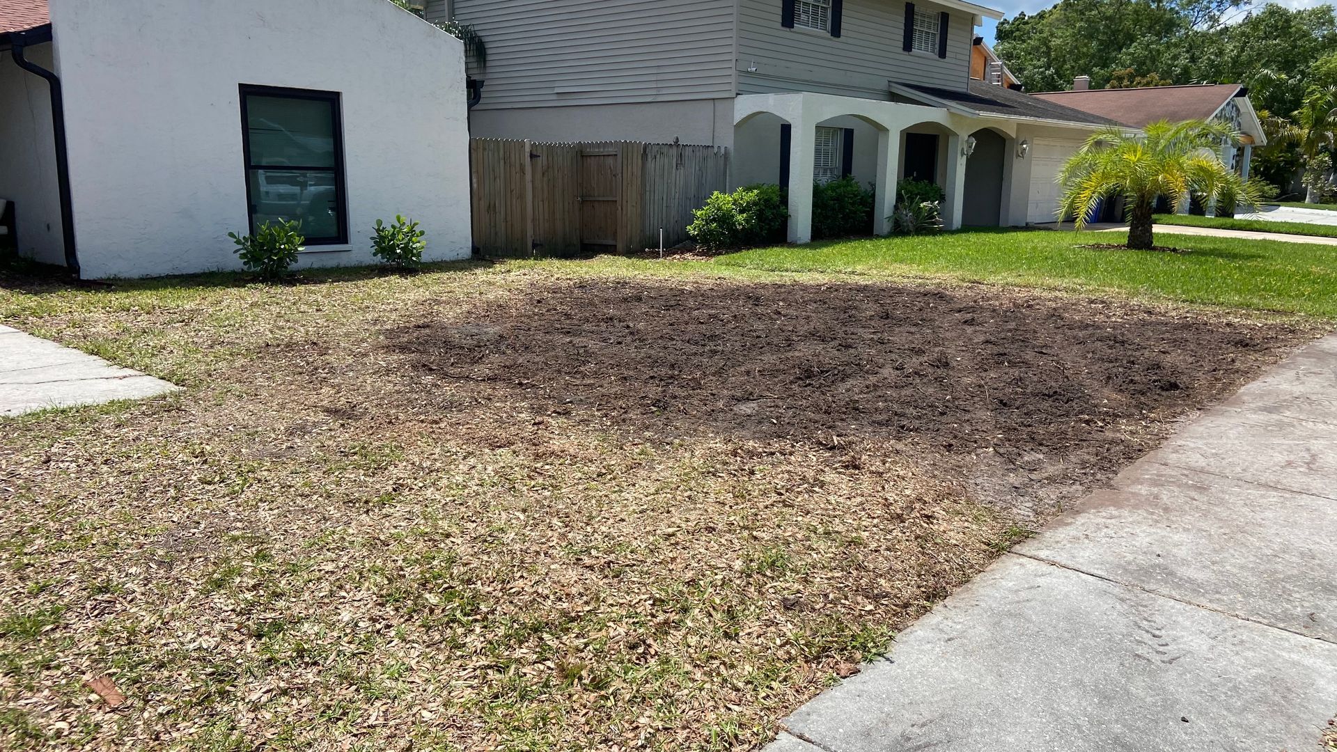 A lawn with a lot of leaves on it in front of a house.