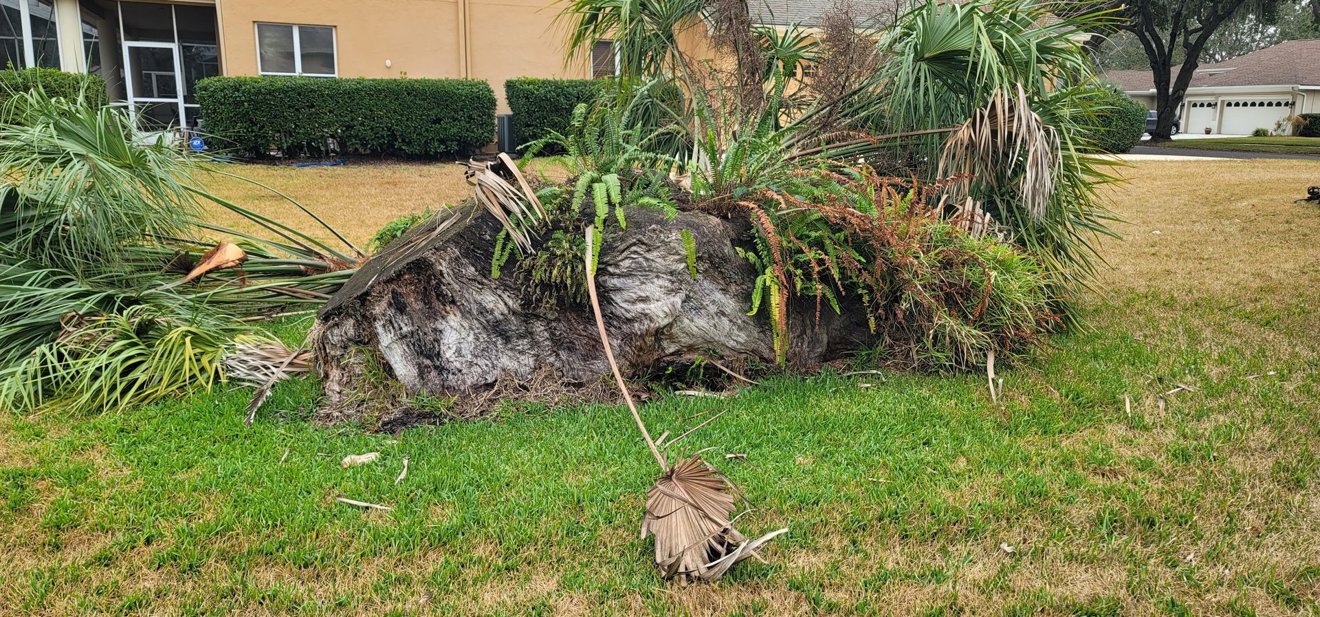 A large tree stump is sitting in the grass in front of a house.