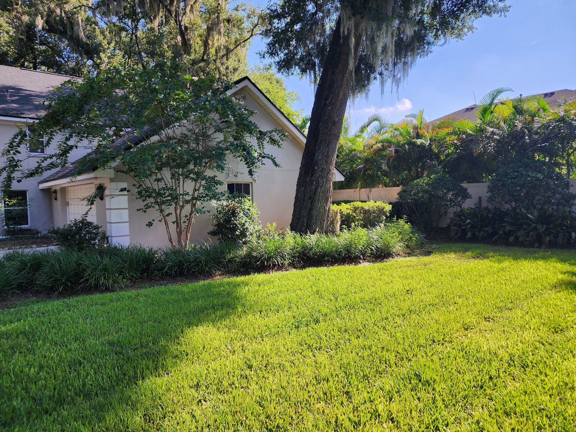 A house with a large lawn and a tree and bushes in front of it.