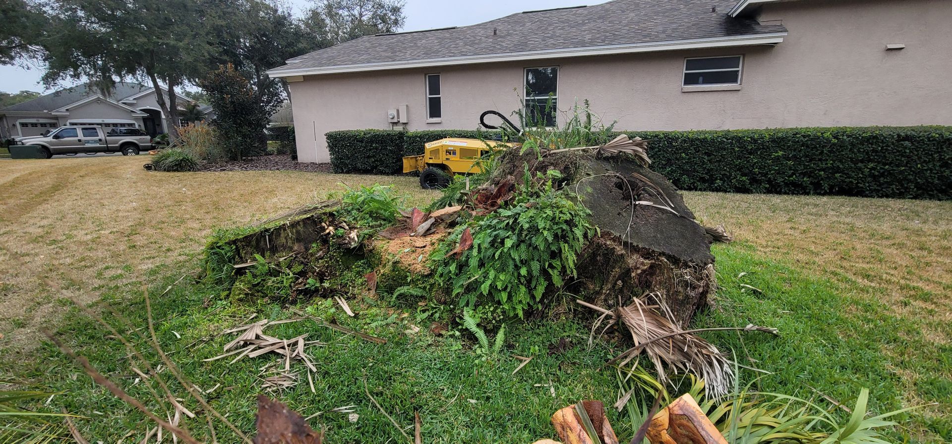 A large tree stump is sitting in the grass in front of a house.