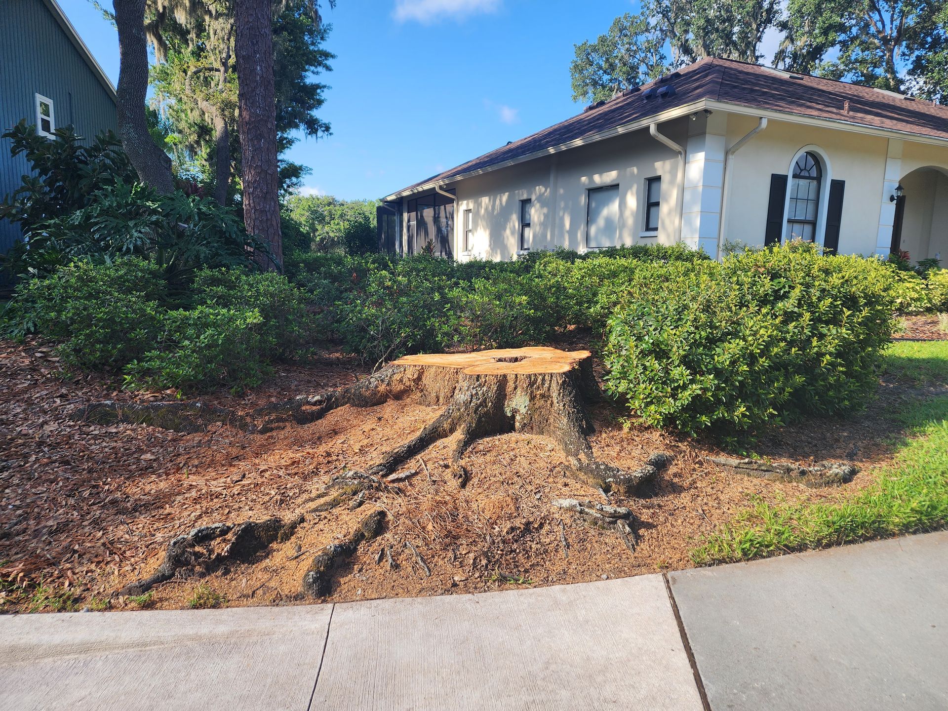 A large tree stump is in front of a house