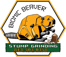 Bionic Beaver Stump Grinding | Valrico, FL