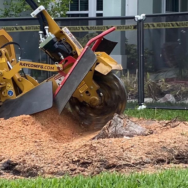 A stump grinder is being used to remove a tree stump