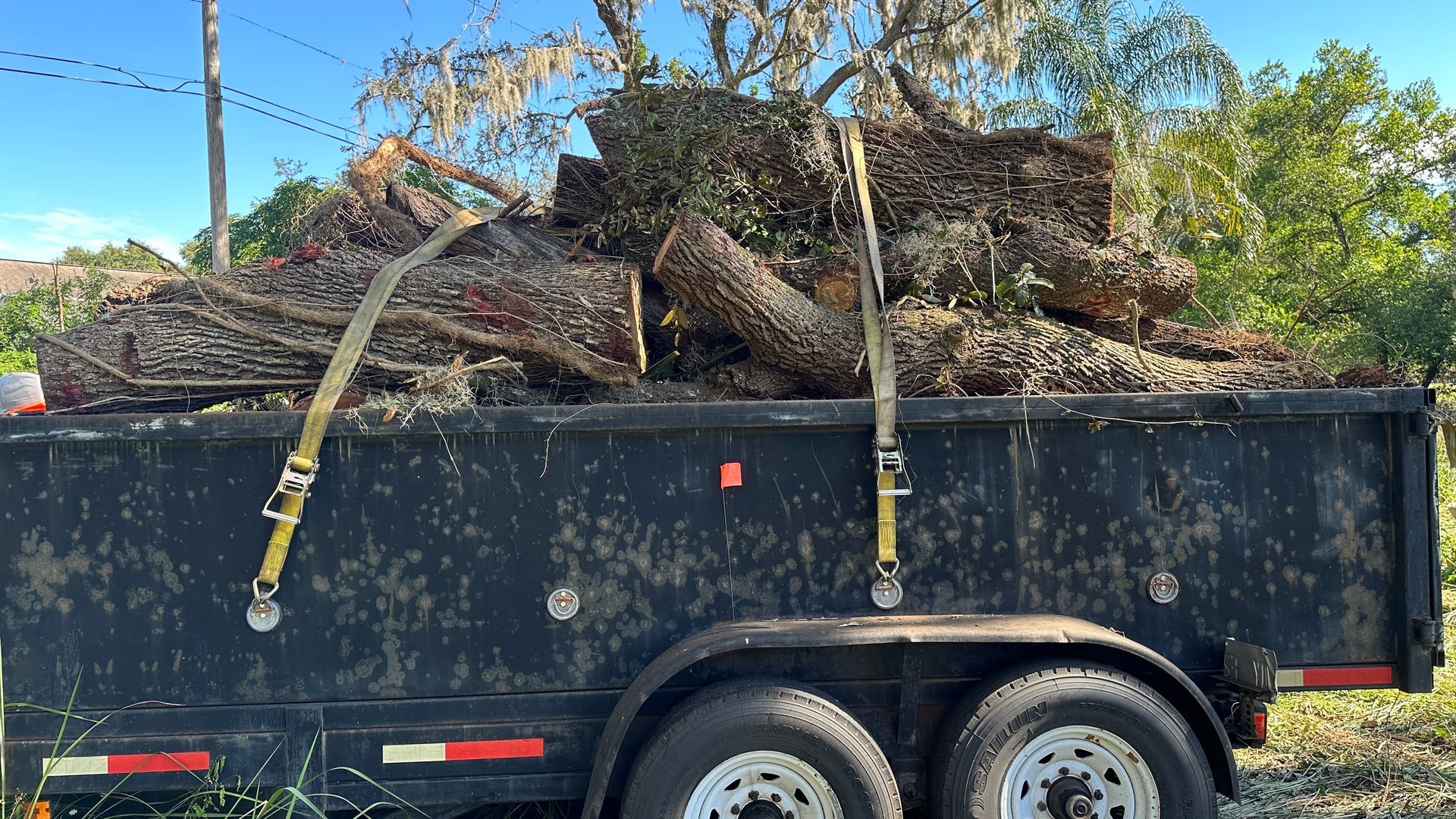 A trailer filled with logs is parked in a field.
