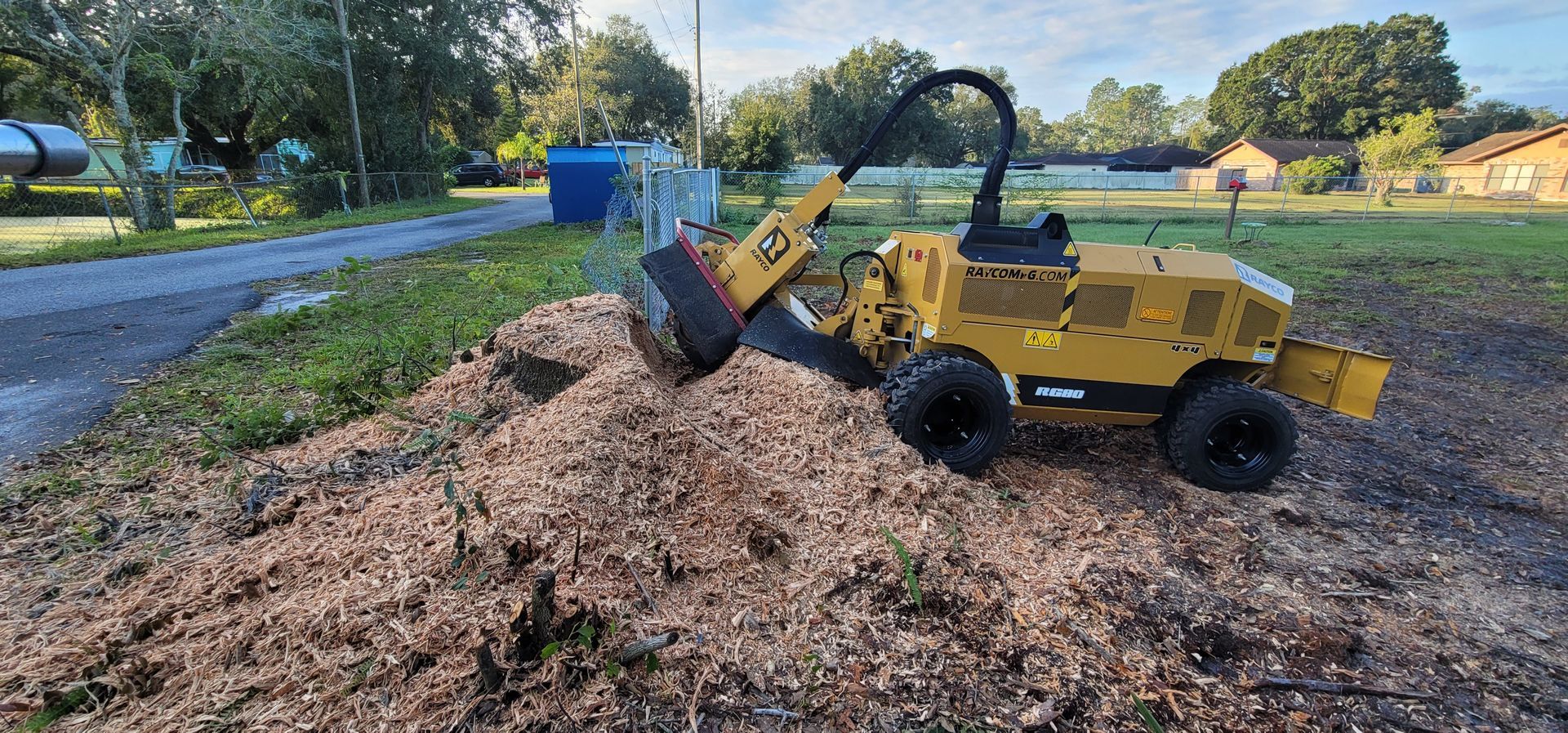 Commercial Stump Grinding | Brandon, FL | Bionic Beaver Stump Grinding