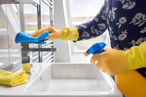 Cleaning Sink and Faucet — Ithaca, NY — Butler & Burt Cleaning Services LLC