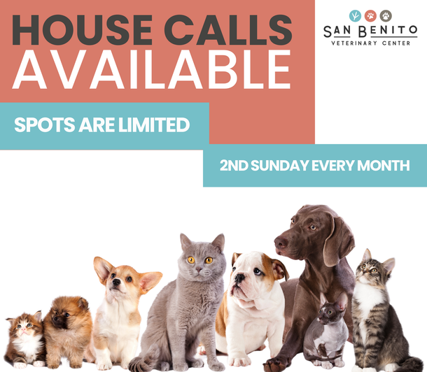 A group of dogs and cats are sitting next to each other in front of a sign that says house calls available