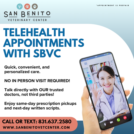 An advertisement for telehealth appointments with sbvc