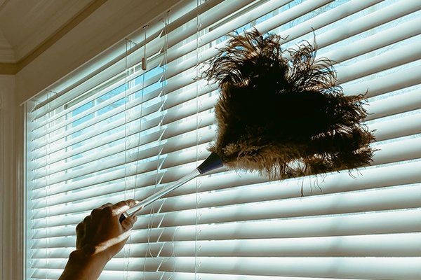 Cleaning Window Blinds Using Feather Duster — Iowa City, IA — S&S Window Treatments