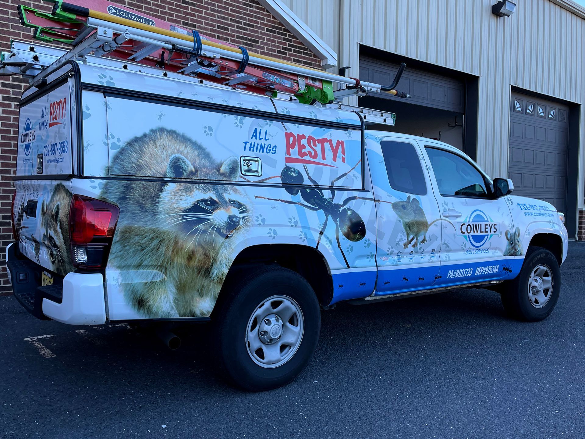 A truck with a picture of a raccoon on the side is parked in front of a building.