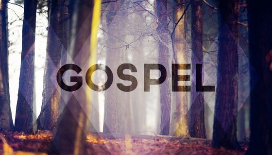 The word gospel is written in the middle of a forest.