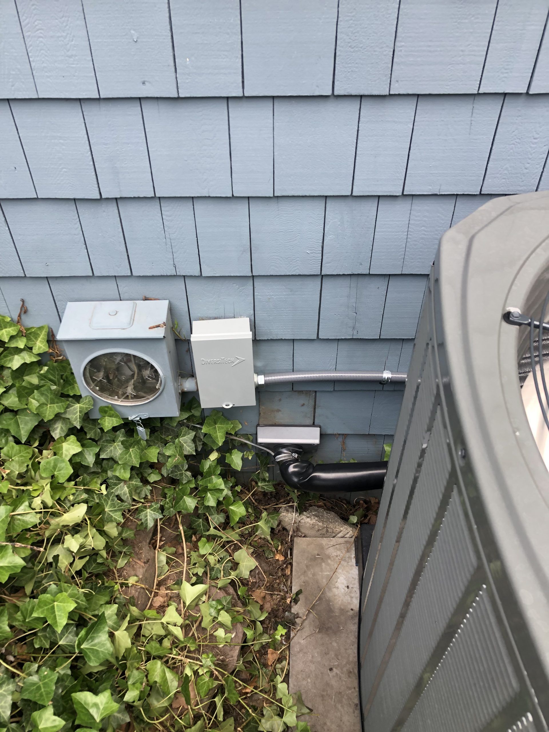 Electrical boxes and conduit mounted on blue siding, next to an AC unit and ivy.