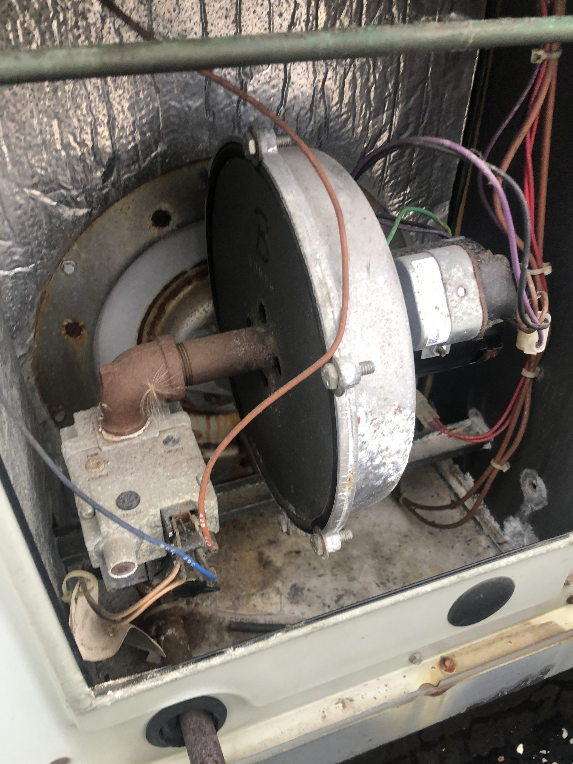 Gas furnace components, including a burner and wiring, inside a metal housing.
