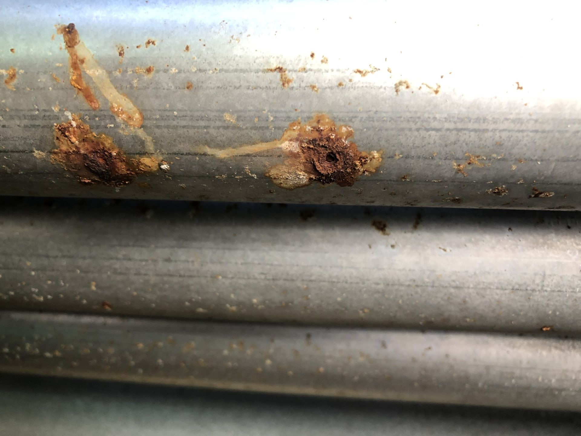 Rust-colored debris with thin, pale strands on three horizontal metal bars.