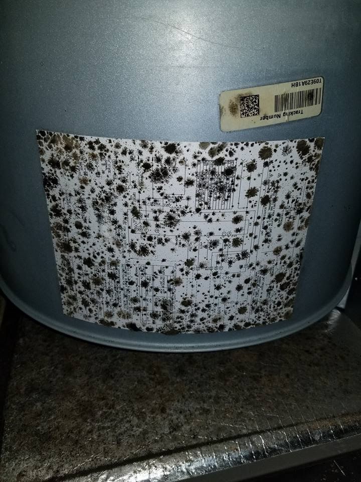 Mold growth on a sticker adhered to a metal surface, likely part of a HVAC system.