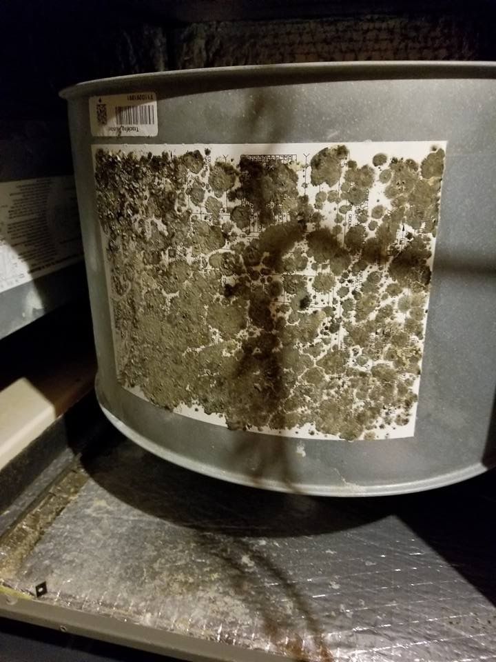 Mold growth on the side of a metal drum. The mold is dark and patchy on a white label.